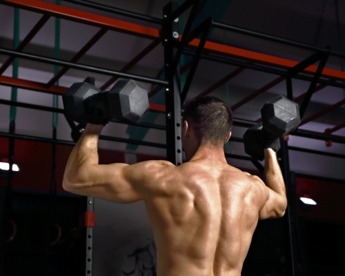 Dumbbell Shoulder Press